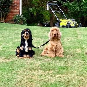 Meet your Posher, Guilherme